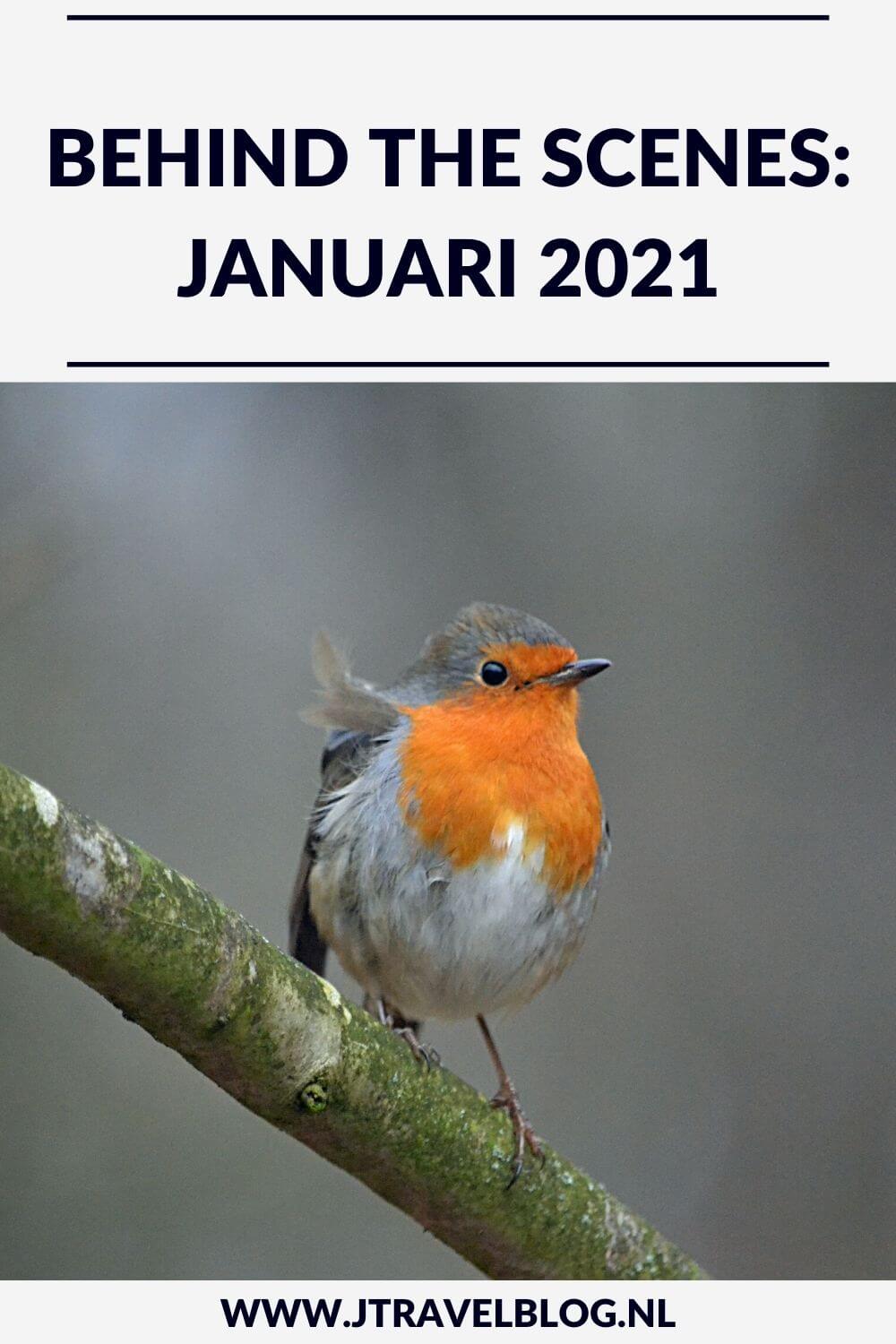 In januari 2021 maakte ik een fietstocht langs beeldhouwwerken van Kees Verkade, twee wandelingen in de Amsterdamse Waterleidingduinen en één over Buitenplaats Leyduin in Vogelenzang. Meer hier over lees je in dit maandoverzicht. #maandoverzicht #januari 2021 #vogelenzang #amsterdamsewaterleidingduinen #buitenplaatsenpad #keesverkade #jtravel #jtravelblog