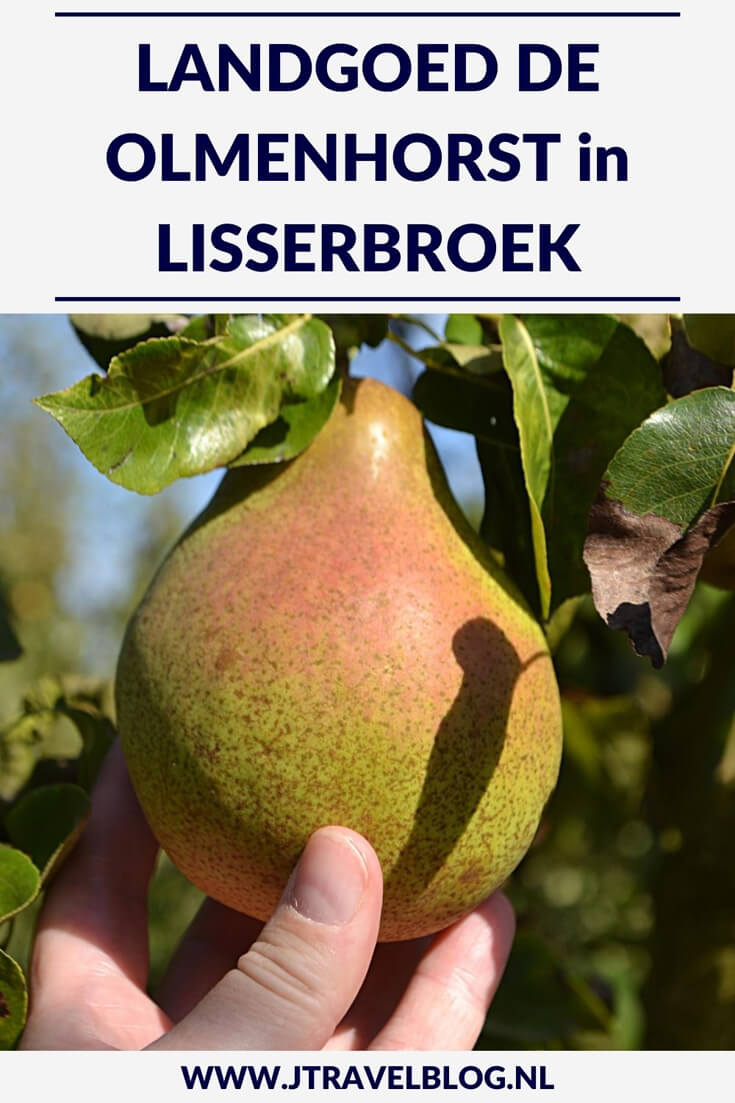 Op Landgoed De Olmenhorst in Lisserbroek kun je in september en oktober je eigen appels en peren plukken. Maar er is veel meer te doen. Wat, dat lees je hier. Lees je mee? #lisserbroek #landgoeddeolmenhorst #olmenhorst #appels #peren #landgoed #jtravel #jtravelblog