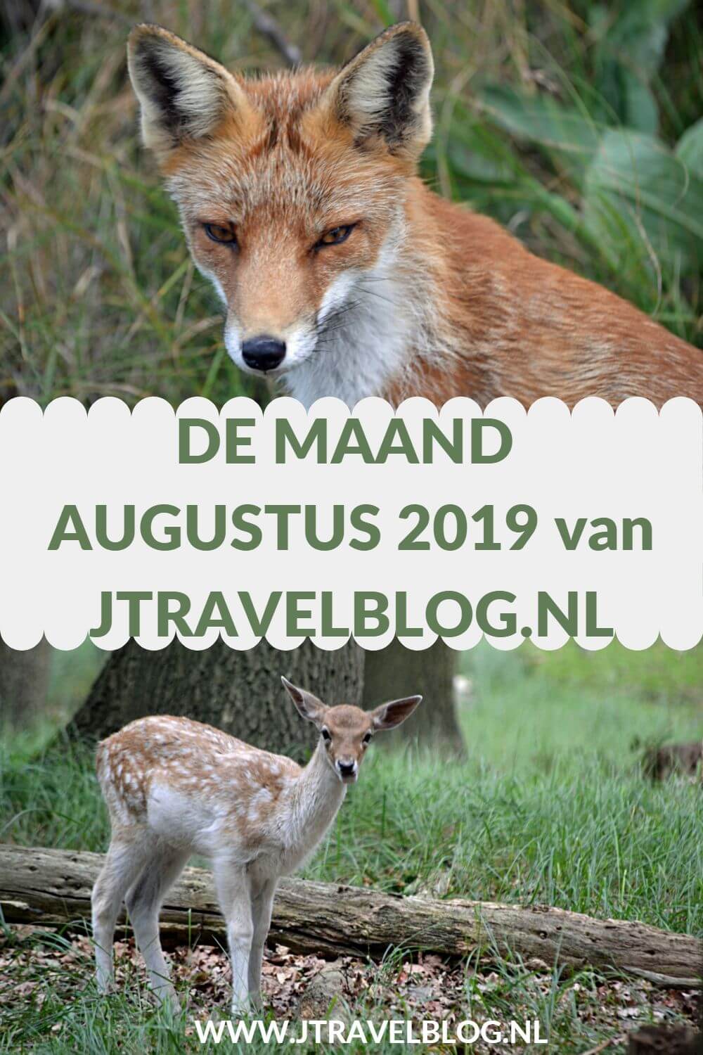 De maand augustus 2019 van JTravelBlog met wandelingen in de Amsterdamse Waterleidingduinen en in Nationaal Park Veluwezoom rond Rheden en een bezoek aan het LAM (Lisser Art Museum) en de tuinen rondom Kasteel Keukenhof in Lisse. Meer hier over lees je in dit maandoverzicht. #maandoverzicht #lisse #lamlisse #kasteelkeukenhof #wandelen #hiken #jtravel #jtravelblog #awd #nationaalparkveluwezoom