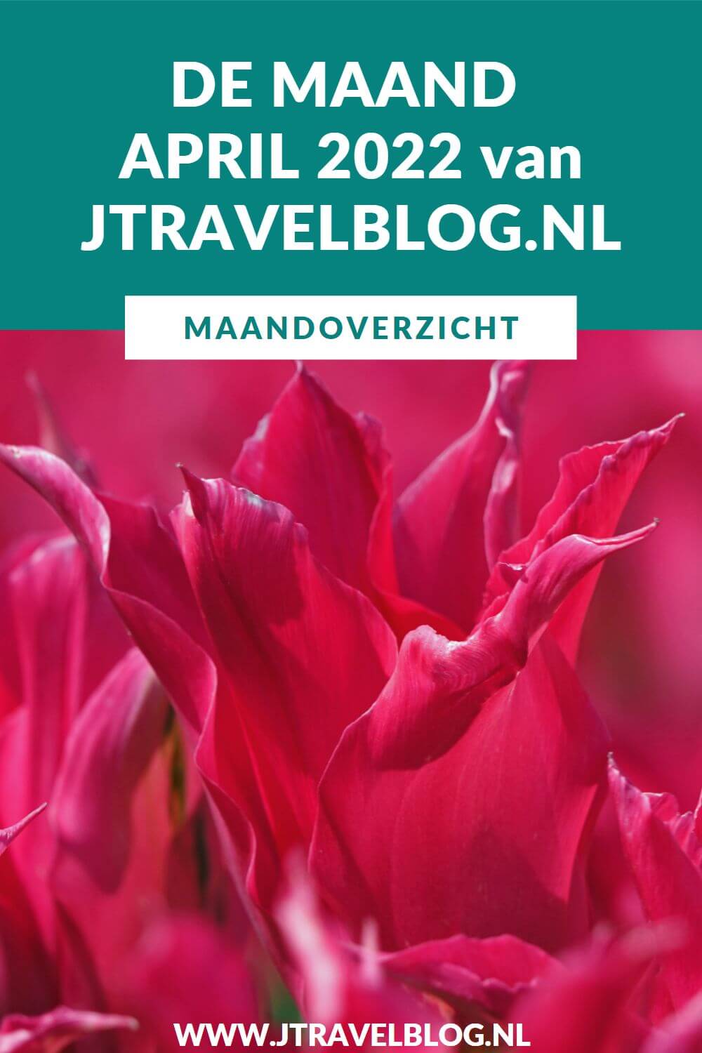 In april 2022 liep ik een etappe van het Westerborkpad, maakte ik een wandeling in de Amsterdamse Waterleidingduinen en zag 3 vossenwelpen, bezocht ik Huis Barnaart in Haarlem en de Keukenhof in Lisse, maakte ik een fietstocht in de Bollenstreek en liep de Olmenhorstroute in Lisserbroek. Meer hier over lees je in dit maandoverzicht. #maandoverzicht #april2022 #westerborkpad #huisbarnaart #bollenstreek #amsterdamsewaterleidingduinen #keukenhof #olmenhorstroute #jtravel #jtravelblog