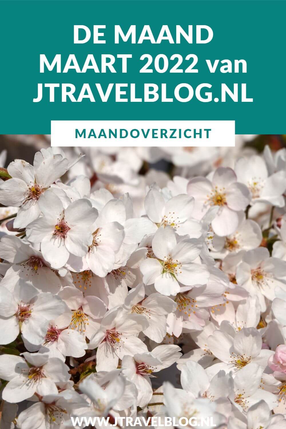 In maart 2022 liep ik twee etappes van het Westerborkpad, maakte ik een wandeling in de Amsterdamse Waterleidingduinen, bezocht het Panoramaterras op Schiphol en het Bloesempark in het Amsterdamse Bos, maakte ik twee fietstochten in de Bollenstreek en bezocht Museum de Zwarte Tulp in Lisse. Meer hier over lees je in dit maandoverzicht. #maandoverzicht #maart2022 #westerborkpad #reuzenbollen #bloesempark #panoramaterras #bollenstreek #amsterdamsewaterleidingduinen #museumdezwartetulp #jtravel #jtravelblog