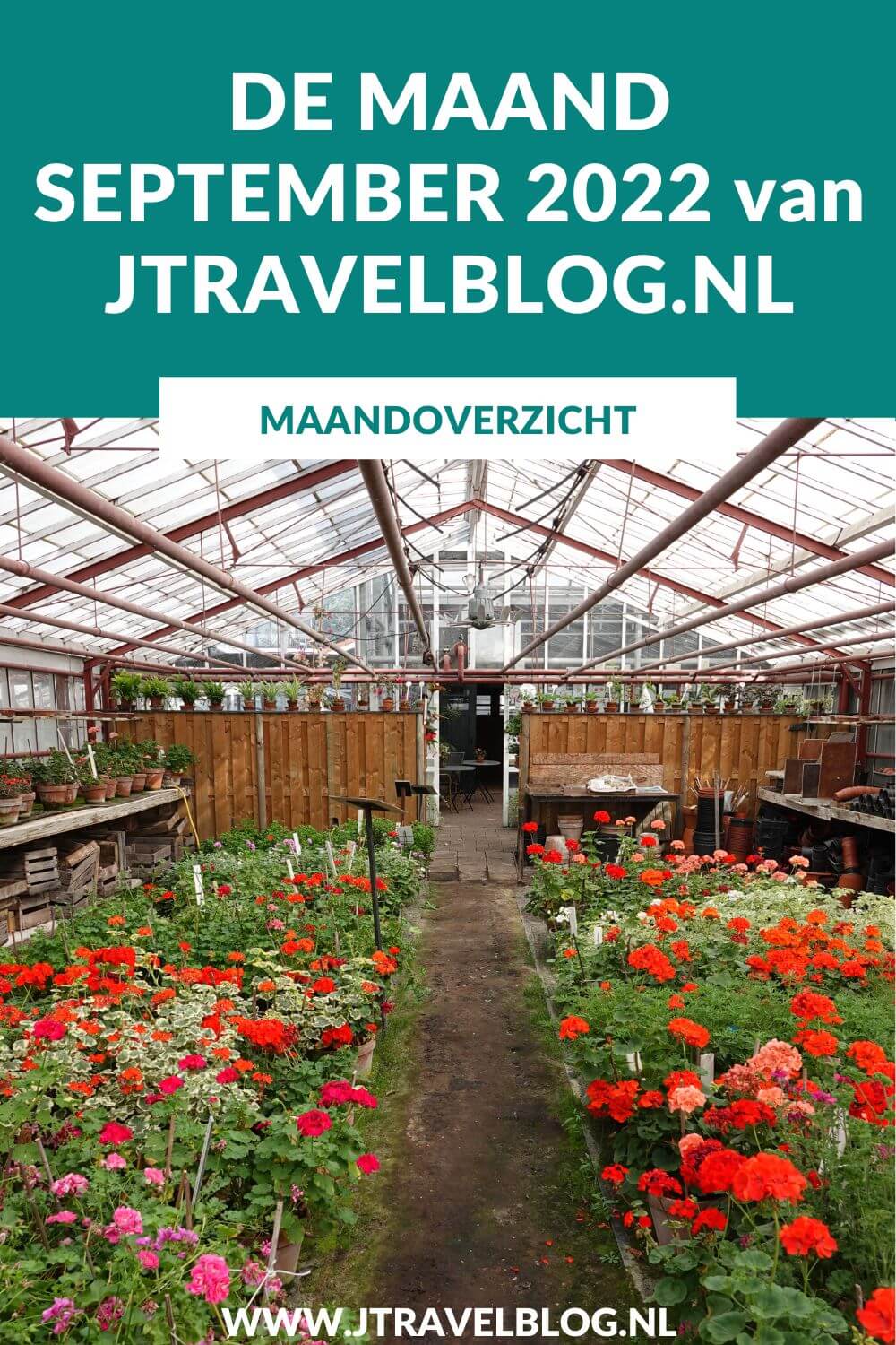 In september 2022 bezocht ik Museum Borg Verhildersum in Leens, De Theefabriek in Houwerzijl en de Historische Tuin Aalsmeer, ik liep de 19e etappe van het Westerborkpad van Hattem naar Station Zwolle en ik maakte weer een mooie wandeling in mijn favoriete wandelgebied: de Amsterdamse Waterleidingduinen. Meer hier over lees je in dit maandoverzicht. #maandoverzicht #september2022 #museumborgverhildersum #detheefabriek #historischetuinaalsmeer #westerborkpad #amsterdamsewaterleidingduinen #jtravel #jtravelblog