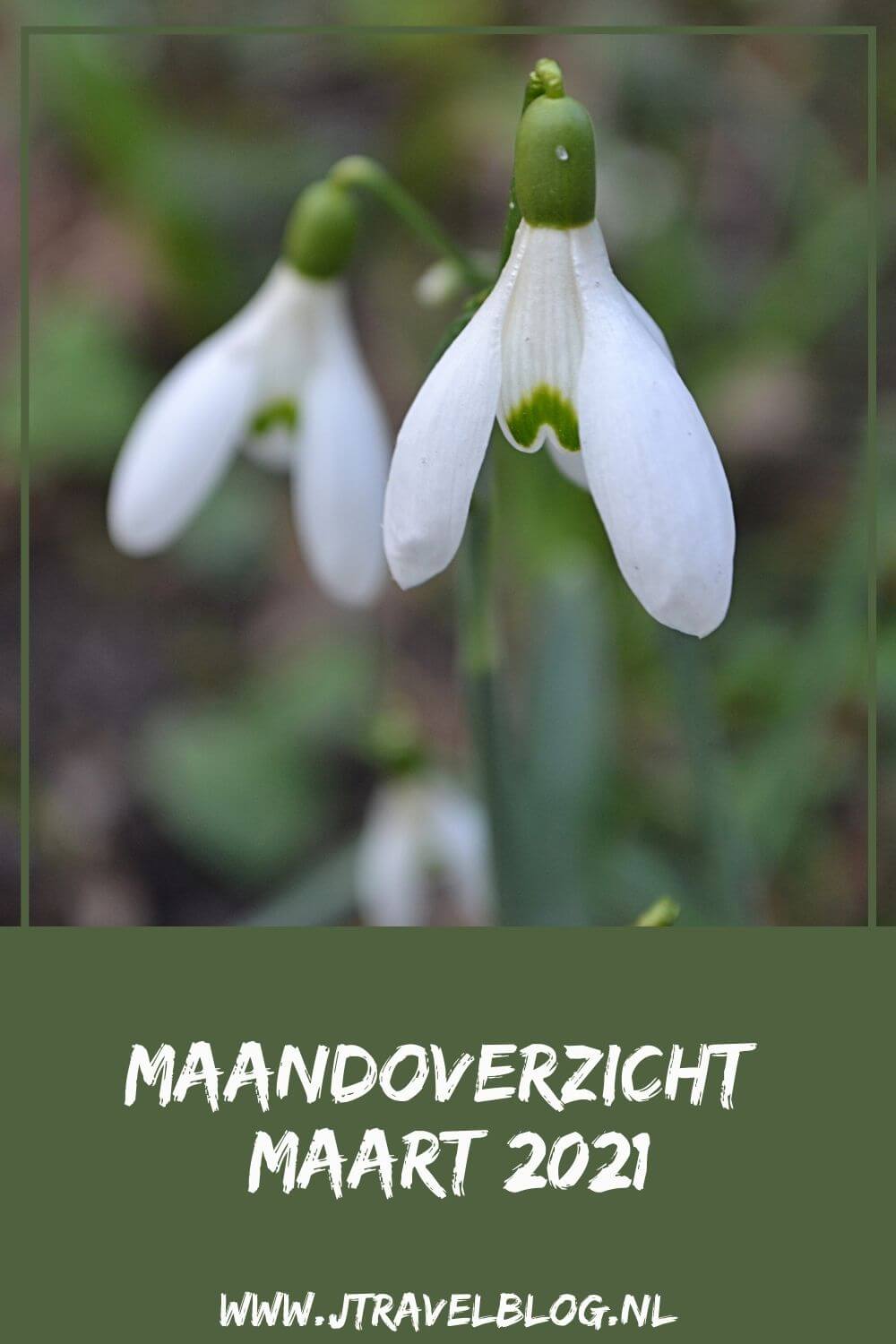 In maart 2021 maakte ik een wandeling in het Bennebroekbos in Bennebroek, liep ik de Olmenhorstroute in Lisserbroek, maakte ik een wandeling in de Amsterdamse Waterleidingduinen en een fietstocht naar de Bollenstreek. Meer hier over lees je in dit maandoverzicht. #maandoverzicht #maart 2021 #olmenhorstroute #amsterdamsewaterleidingduinen #bennebroekbos #bollenstreek #jtravel #jtravelblog