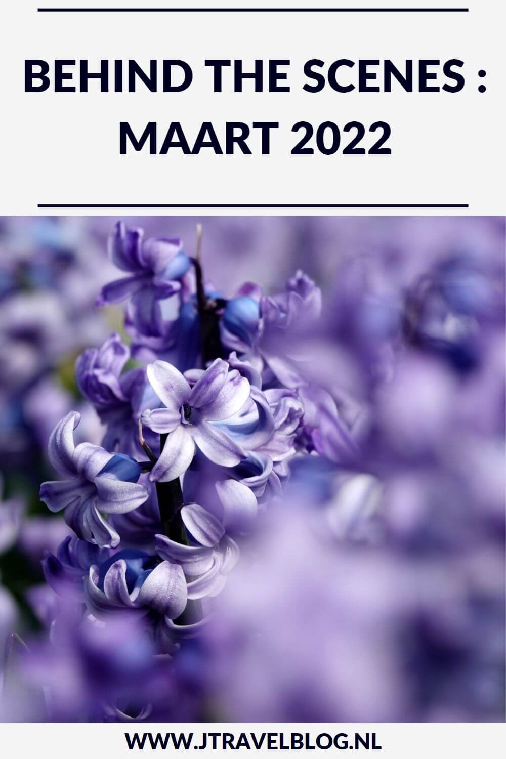 In maart 2022 liep ik twee etappes van het Westerborkpad, maakte ik een wandeling in de Amsterdamse Waterleidingduinen, bezocht het Panoramaterras op Schiphol en het Bloesempark in het Amsterdamse Bos, maakte ik twee fietstochten in de Bollenstreek en bezocht Museum de Zwarte Tulp in Lisse. Meer hier over lees je in dit maandoverzicht. #maandoverzicht #maart2022 #westerborkpad #reuzenbollen #bloesempark #panoramaterras #bollenstreek #amsterdamsewaterleidingduinen #museumdezwartetulp #jtravel #jtravelblog