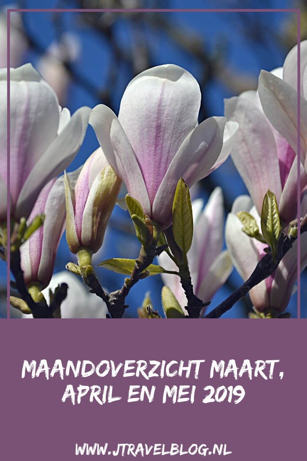 De maanden maart, april en mei waren moeilijke maanden. Ik maakte verschillende uitstapjes en verbleef in Groningen. Meer lees in dit overzicht die over 3 maanden gaat. #groningen #haarlem #amsterdam #instameet #jtravel #jtravelblog