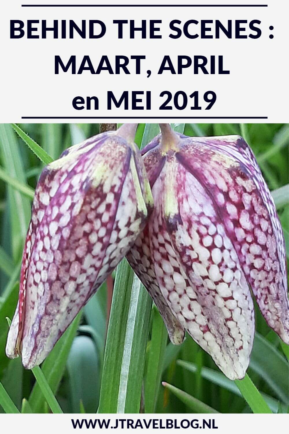 De maanden maart, april en mei waren moeilijke maanden. Ik maakte verschillende uitstapjes en verbleef in Groningen. Meer lees in dit overzicht die over 3 maanden gaat. #groningen #haarlem #amsterdam #instameet #jtravel #jtravelblog