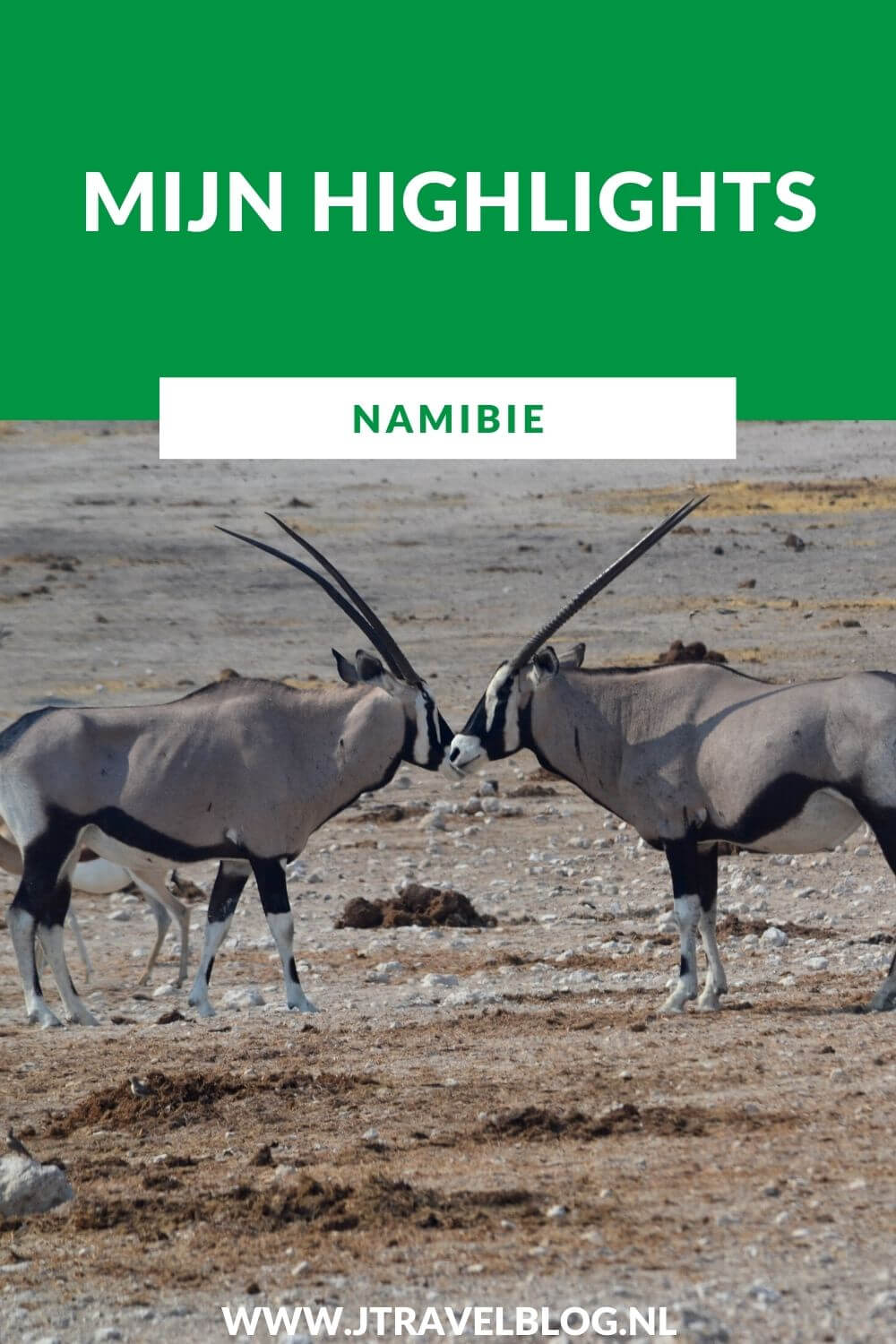 Ga je op reis naar Afrika, denk dan ook eens aan Namibië als bestemming. Een fantastisch land. Ik heb mijn highlights van Namibië voor je op een rijtje gezet. #namibia #namibie #afrika #africa #olifant #elephant #etoshanationalpark #jtravel #jtravelblog #wildlife