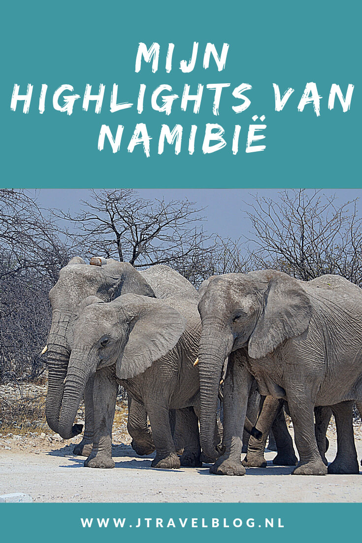 Ga je op reis naar Afrika, denk dan ook eens aan Namibië als bestemming. Een fantastisch land. Ik heb mijn highlights van Namibië voor je op een rijtje gezet. #namibia #namibie #afrika #africa #olifant #elephant #etoshanationalpark #jtravel #jtravelblog #wildlife