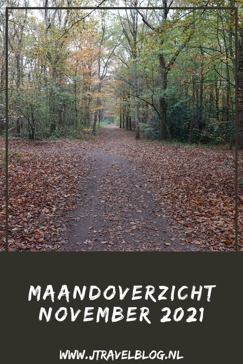 In november 2021 maakte ik een wandeling langs het kabouterpad in het Haarlemmermeerse Bos, beklom ik de Big Spotters Hill in Vijfhuizen, maakte ik een wandeling over Buitenplaats Beeckestijn in Velsen en maakte ik een wandeling in de Amsterdamse Waterleidingduinen. Meer hier over lees je in dit maandoverzicht. #maandoverzicht #november2021 #haarlemmermeersebos #bigspottershill #buitenplaatsbeeckesijn #amsterdamsewaterleidingduinen #wandelen #jtravel #jtravelblog