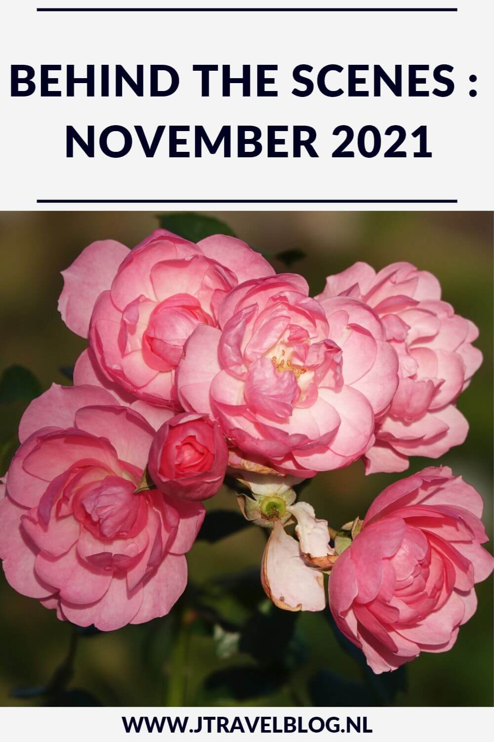 In november 2021 maakte ik een wandeling langs het kabouterpad in het Haarlemmermeerse Bos, beklom ik de Big Spotters Hill in Vijfhuizen, maakte ik een wandeling over Buitenplaats Beeckestijn in Velsen en maakte ik een wandeling in de Amsterdamse Waterleidingduinen. Meer hier over lees je in dit maandoverzicht. #maandoverzicht #november2021 #haarlemmermeersebos #bigspottershill #buitenplaatsbeeckesijn #amsterdamsewaterleidingduinen #wandelen #jtravel #jtravelblog