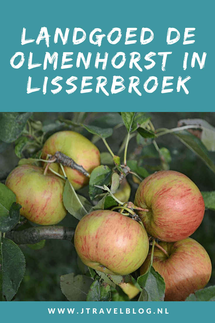 Op Landgoed De Olmenhorst in Lisserbroek kun je in september en oktober je eigen appels en peren plukken. Maar er is veel meer te doen. Wat, dat lees je hier. Lees je mee? #lisserbroek #landgoeddeolmenhorst #olmenhorst #appels #peren #landgoed #jtravel #jtravelblog