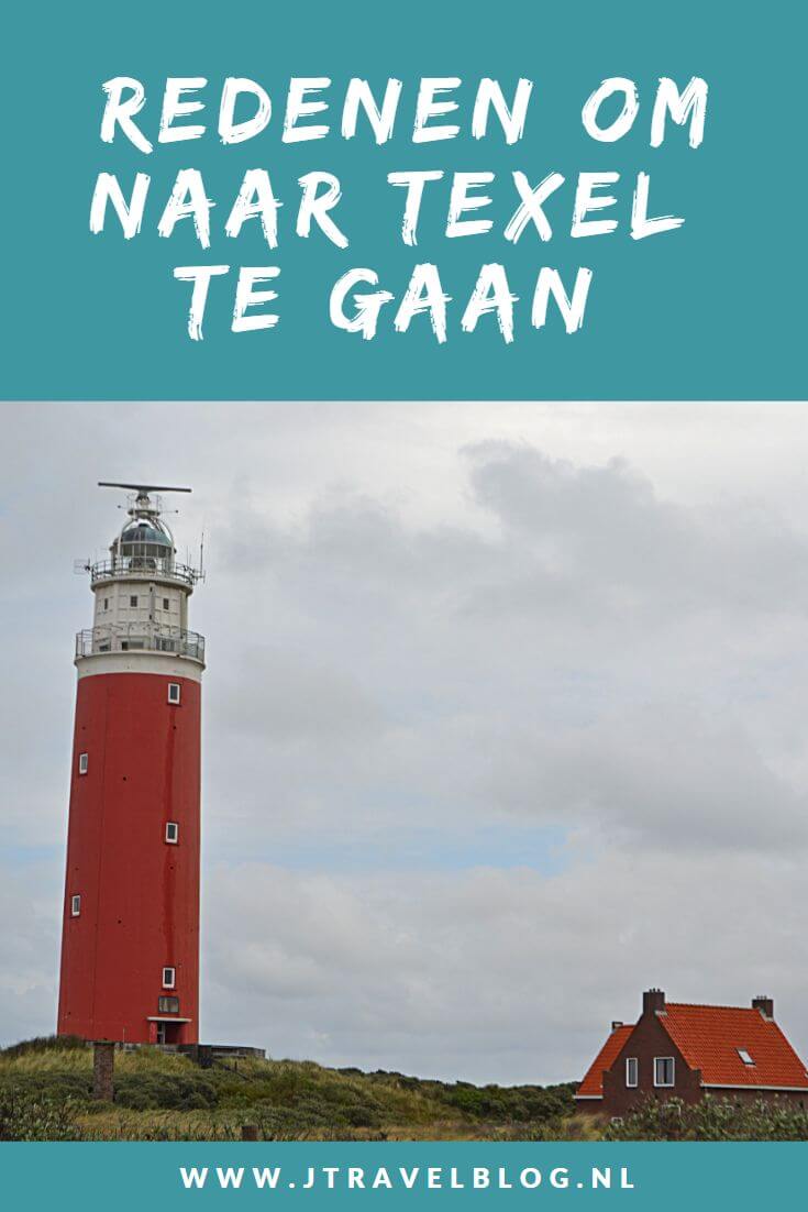 In deze blog geef ik je 13 redenen om naar Texel te gaan, zoals de natuur, de dorpen, het eten, het strand, de musea, wandelen en fietsen en zeehonden spotten. Lees je mee? #texel #redenenomnaartexeltegaan #jtravel #jtravelblog