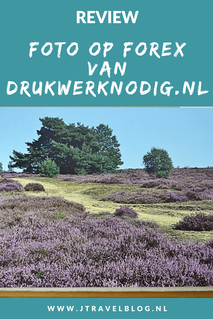 Van Drukwerknodig.nl mocht ik een foto op forex uitkiezen. Ik koos voor een foto die ik maakte tijdens mijn wandeling op de heide in Rheden. Mijn review over Drukwerknodig.nl lees je op mijn website. Lees je mee en doe inspiratie op. #review #drukwerknodig #rheden #jtravelblog #jtravel