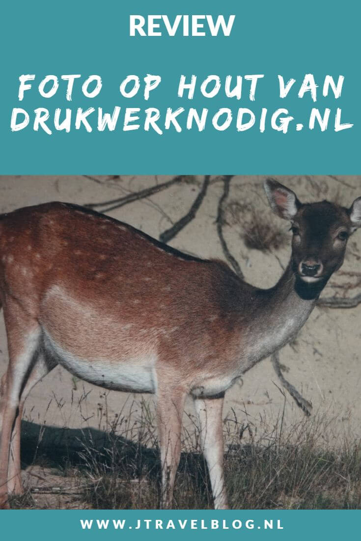 Van Drukwerknodig.nl mocht ik een foto op hout uitkiezen. Ik koos voor een foto die ik maakte tijdens รฉรฉn van mijn vele wandelingen in de Amsterdamse Waterleidingduinen. Mijn review over Drukwerknodig.nl lees je op mijn website. Lees je mee en doe inspiratie op. #review #fotophout #drukwerknodig #damhert #amsterdamsewaterleidingduinen #jtravelblog #jtravel