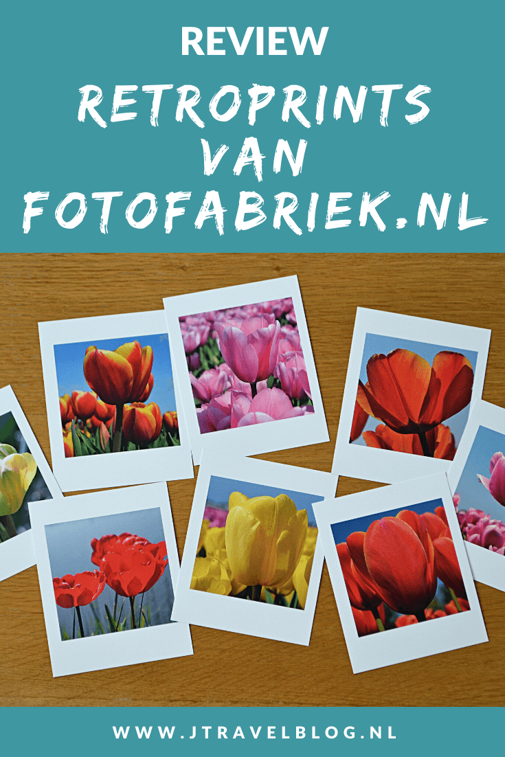 Van Fotofabriek.nl mocht ik een setje van 8 retroprints uitkiezen. Ik koos voor foto's die ik in april 2020 in de Bollenstreek heb gemaakt. Mijn review over de retroprints van Fotofabriek.nl lees je op mijn website. Lees je mee en doe inspiratie op. #review #fotofabriek #retroprints #bollenstreek #tulpen #jtravelblog #jtravel