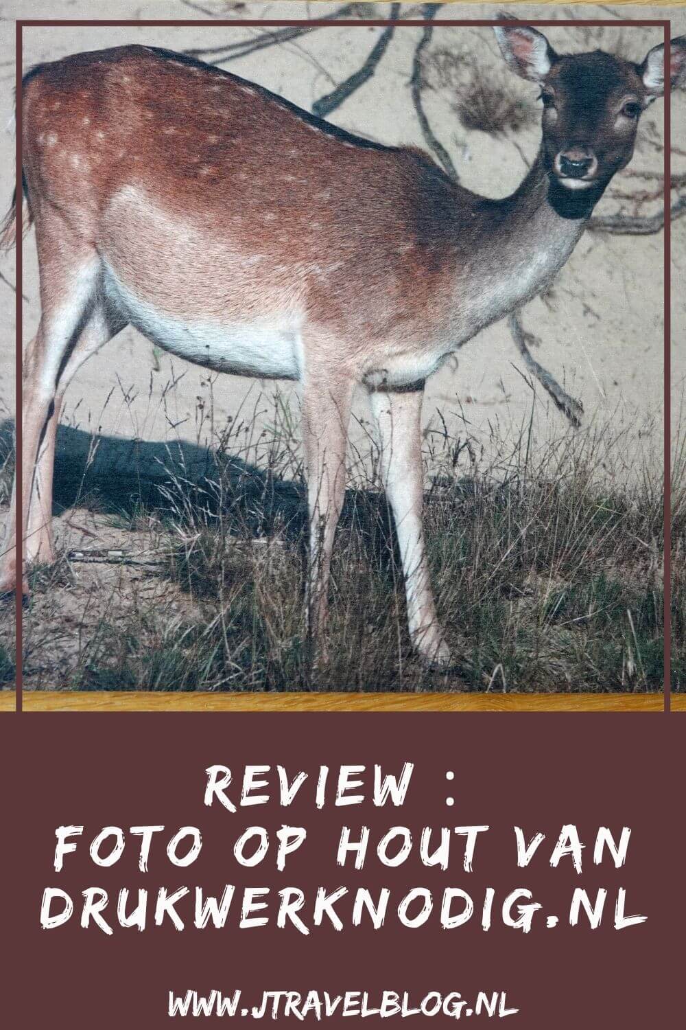 Van Drukwerknodig.nl mocht ik een foto op hout uitkiezen. Ik koos voor een foto die ik maakte tijdens รฉรฉn van mijn vele wandelingen in de Amsterdamse Waterleidingduinen. Mijn review over Drukwerknodig.nl lees je op mijn website. Lees je mee en doe inspiratie op. #review #fotophout #drukwerknodig #damhert #amsterdamsewaterleidingduinen #jtravelblog #jtravel