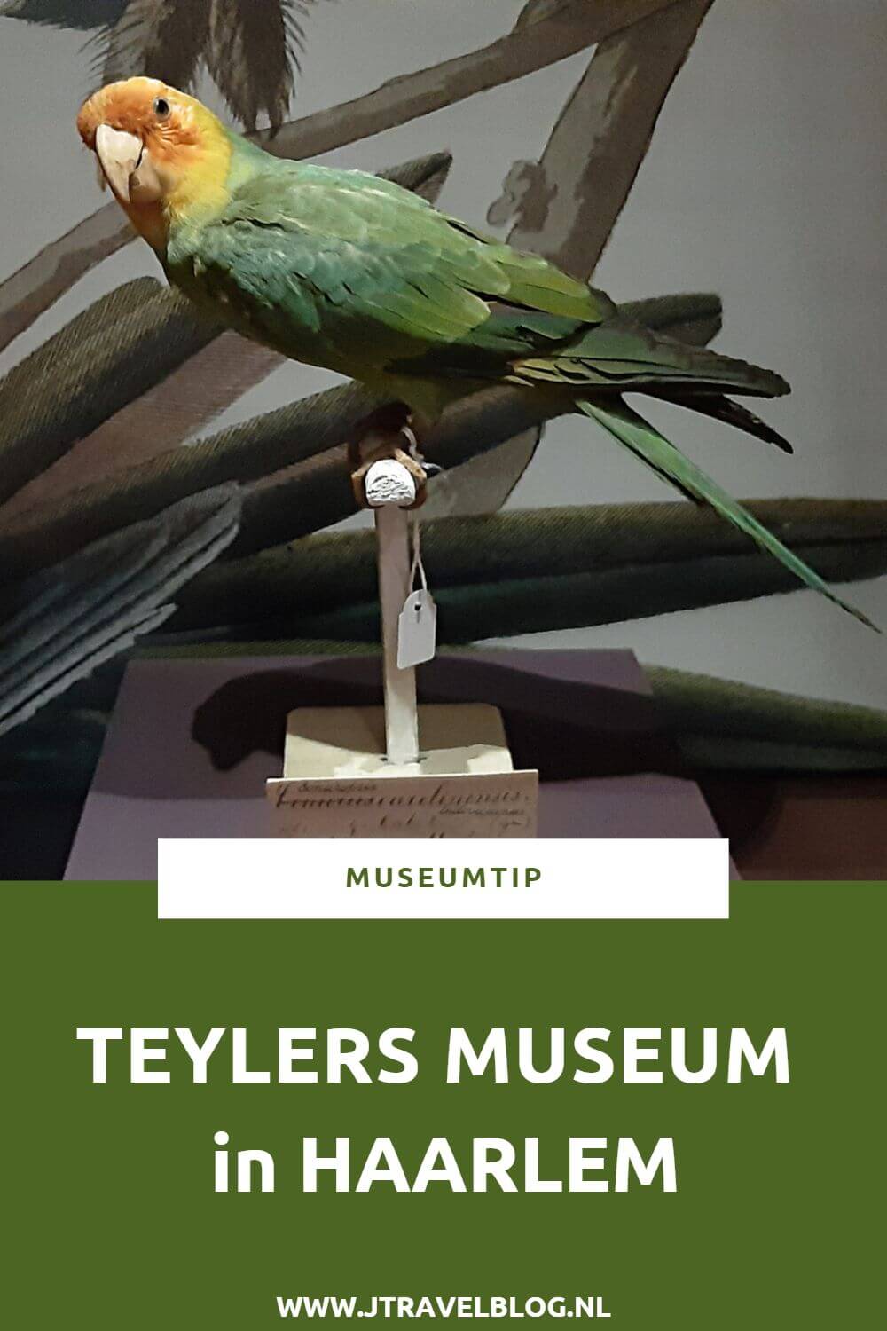 Ik bezocht het Teylers Museum in Haarlem. In het museum worden fossielen, schilderijen, tekeningen, munten en penningen tentoongesteld. Let ook op het schitterende gebouw, zowel van de binnen- als de buitenkant. Lees in deze blog mee waarom je het Museum van de Verwondering in Haarlem moet bezoeken. #teylersmuseum #haarlem #teylersmuseumhaarlem #museumtip #museumkaart #jtravel #jtravelblog