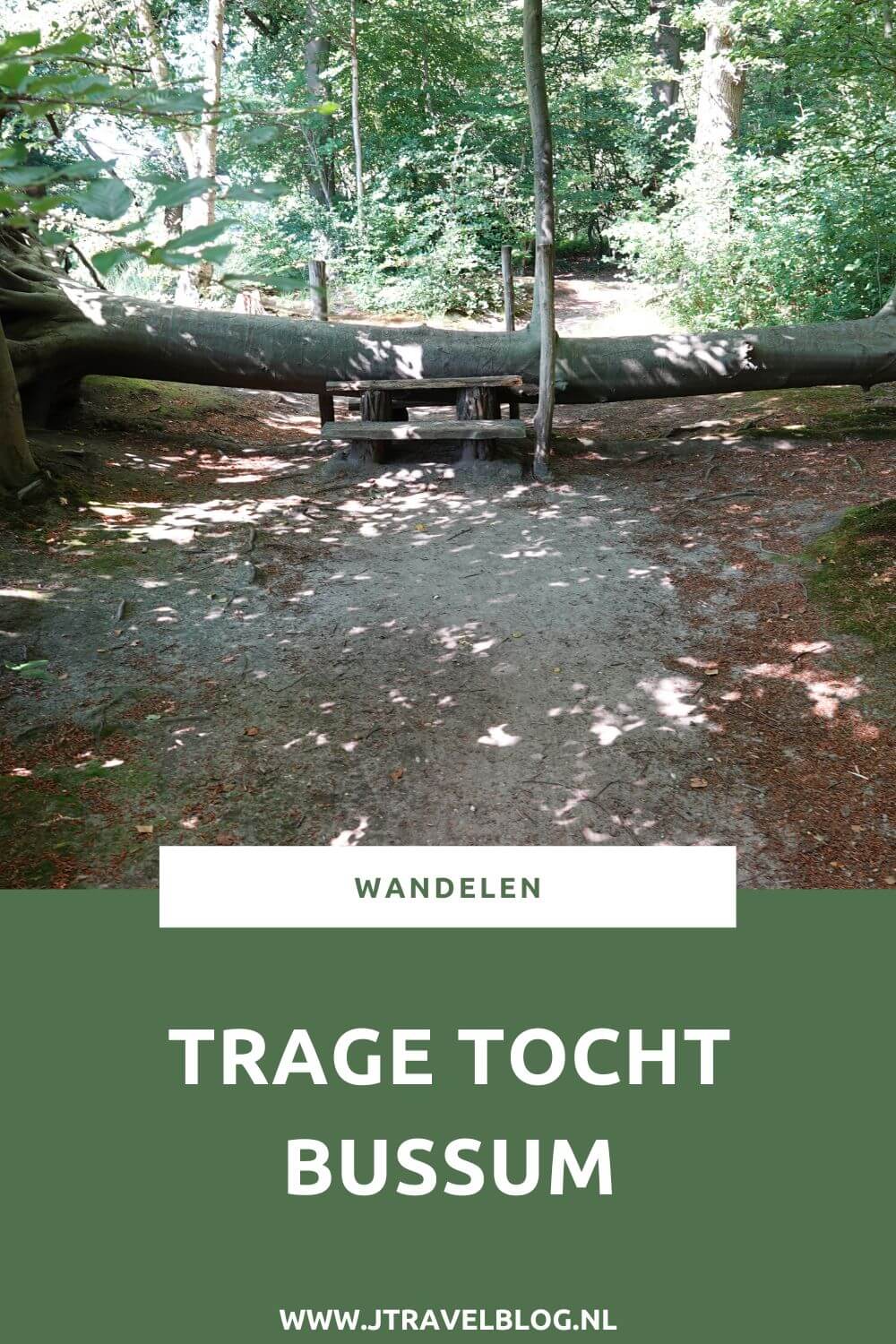 Ik maakte een Trage Tocht wandeling in het Gooi: de Trage Tocht Bussum over de Bussumerheide en langs buitenplaatsen in 's-Graveland. Een wandeling over de heidevelden die op dat moment in bloei staan en door de bossen langs een paar buitenplaatsen. Wandel je mee met Trage Tocht Bussum. #bussum #bussumerheide #buitenplaatsen #tragetocht #jtravelblog #jtravel