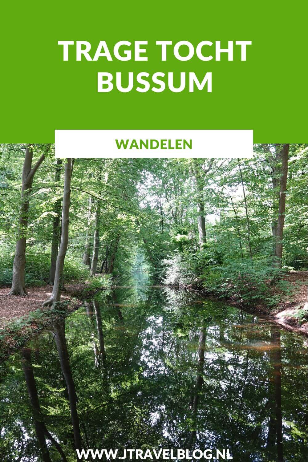 Ik maakte een Trage Tocht wandeling in het Gooi: de Trage Tocht Bussum over de Bussumerheide en langs buitenplaatsen in 's-Graveland. Een wandeling over de heidevelden die op dat moment in bloei staan en door de bossen langs een paar buitenplaatsen. Wandel je mee met Trage Tocht Bussum. #bussum #bussumerheide #buitenplaatsen #tragetocht #jtravelblog #jtravel
