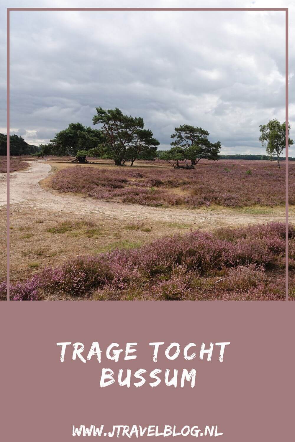 Ik maakte een Trage Tocht wandeling in het Gooi: de Trage Tocht Bussum over de Bussumerheide en langs buitenplaatsen in 's-Graveland. Een wandeling over de heidevelden die op dat moment in bloei staan en door de bossen langs een paar buitenplaatsen. Wandel je mee met Trage Tocht Bussum. #bussum #bussumerheide #buitenplaatsen #tragetocht #jtravelblog #jtravel