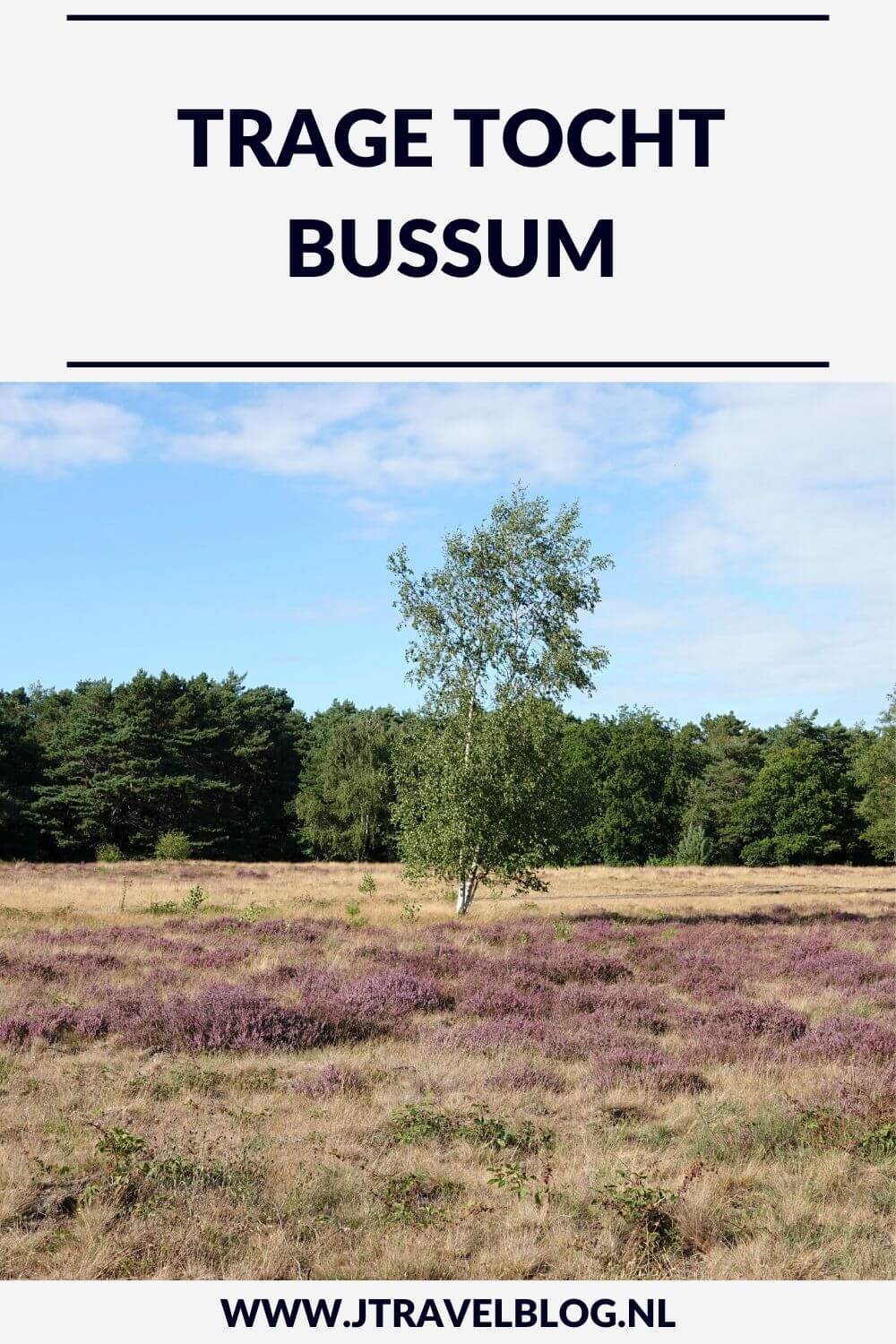 Ik maakte een Trage Tocht wandeling in het Gooi: de Trage Tocht Bussum over de Bussumerheide en langs buitenplaatsen in 's-Graveland. Een wandeling over de heidevelden die op dat moment in bloei staan en door de bossen langs een paar buitenplaatsen. Wandel je mee met Trage Tocht Bussum. #bussum #bussumerheide #buitenplaatsen #tragetocht #jtravelblog #jtravel