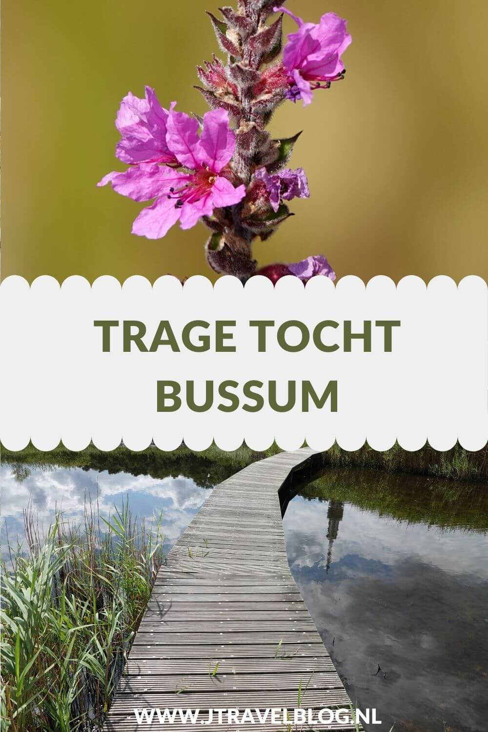Ik maakte een Trage Tocht wandeling in het Gooi: de Trage Tocht Bussum over de Bussumerheide en langs buitenplaatsen in 's-Graveland. Een wandeling over de heidevelden die op dat moment in bloei staan en door de bossen langs een paar buitenplaatsen. Wandel je mee met Trage Tocht Bussum. #bussum #bussumerheide #buitenplaatsen #tragetocht #jtravelblog #jtravel