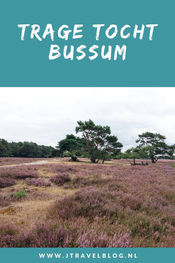 Ik maakte een Trage Tocht wandeling in het Gooi: de Trage Tocht Bussum over de Bussumerheide en langs buitenplaatsen in 's-Graveland. Een wandeling over de heidevelden die op dat moment in bloei staan en door de bossen langs een paar buitenplaatsen. Wandel je mee met Trage Tocht Bussum. #bussum #bussumerheide #buitenplaatsen #tragetocht #jtravelblog #jtravel