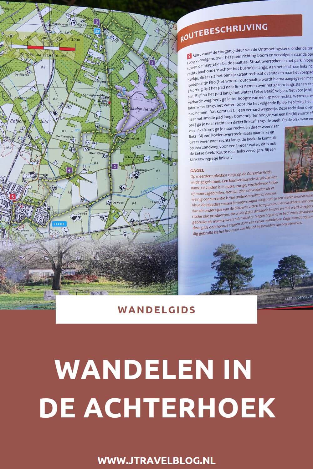 De wandelgids 'Wandelen in de Achterhoek' bevat 20 rondwandelingen van 8 tot 13 kilometer in de Gelderse Achterhoek langs beken en kastelen en over landgoederen en langs watermolens. Wandel je mee? #wandelen #achterhoek #wandelgids #gegarandeerdonregelmatig #jtravel #jtravelblog