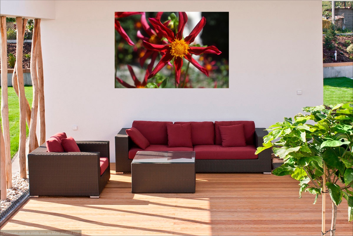 Je foto's verkopen via Werkaandemuur.nl