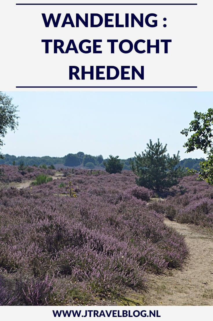 Ik maakte een mooie wandeling in Nationaal Park Veluwezoom, de Trage Tocht rond Rheden, over de heide en door de bossen. Mijn belevenissen lees je in deze blog. Loop je mee? #rheden #nationaalparkveluwezoom #wandelen #hiken #jtravel #jtravelblog #tragetocht